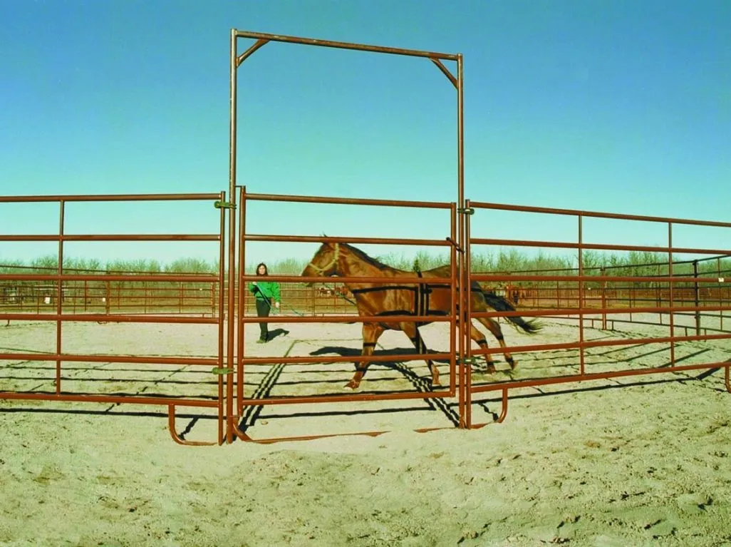 60' Round Pen (HiQual)