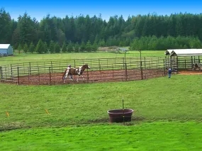 60' Round Pen (HiQual)