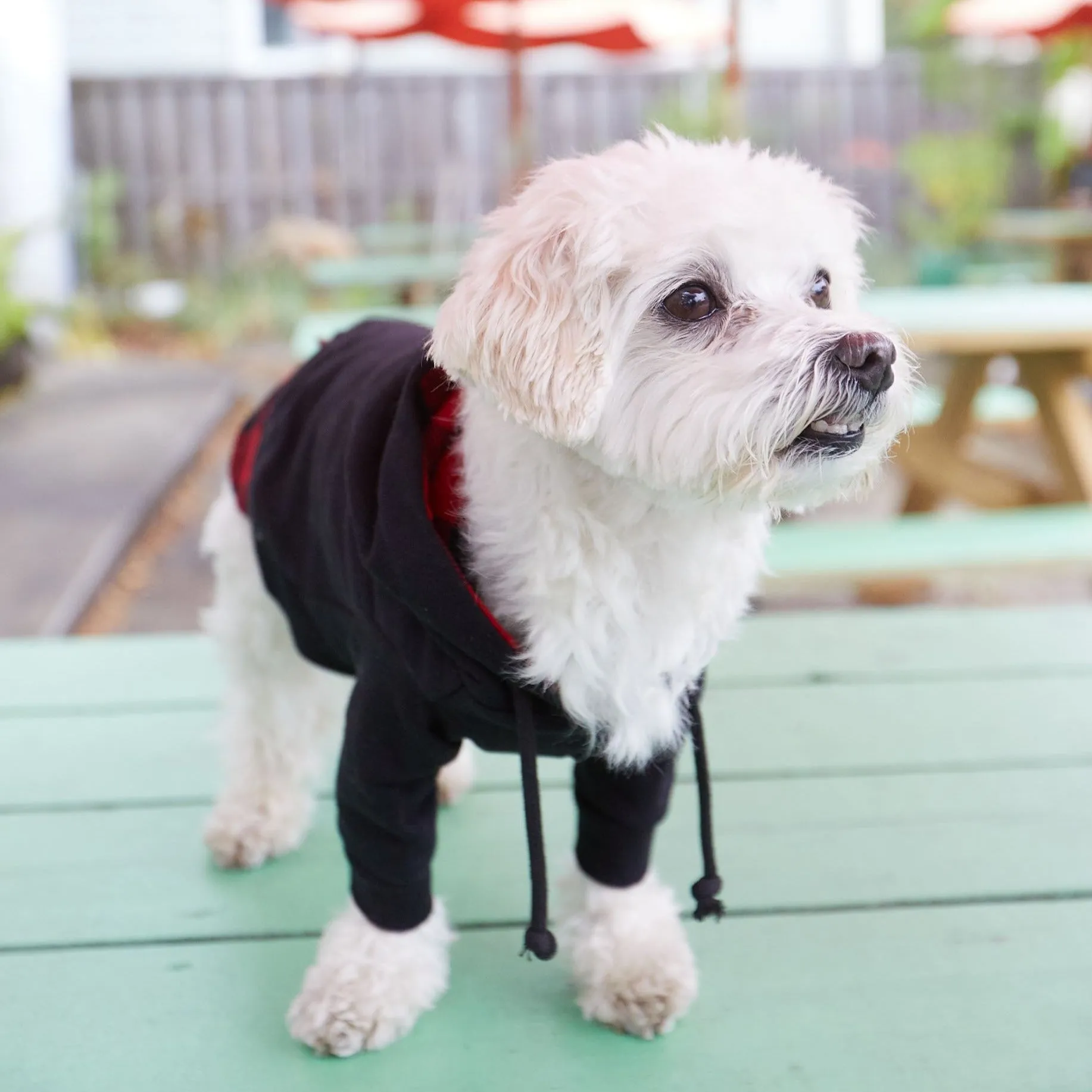 Downtown Dawg Series | Layered Look Black Dog Hoodie