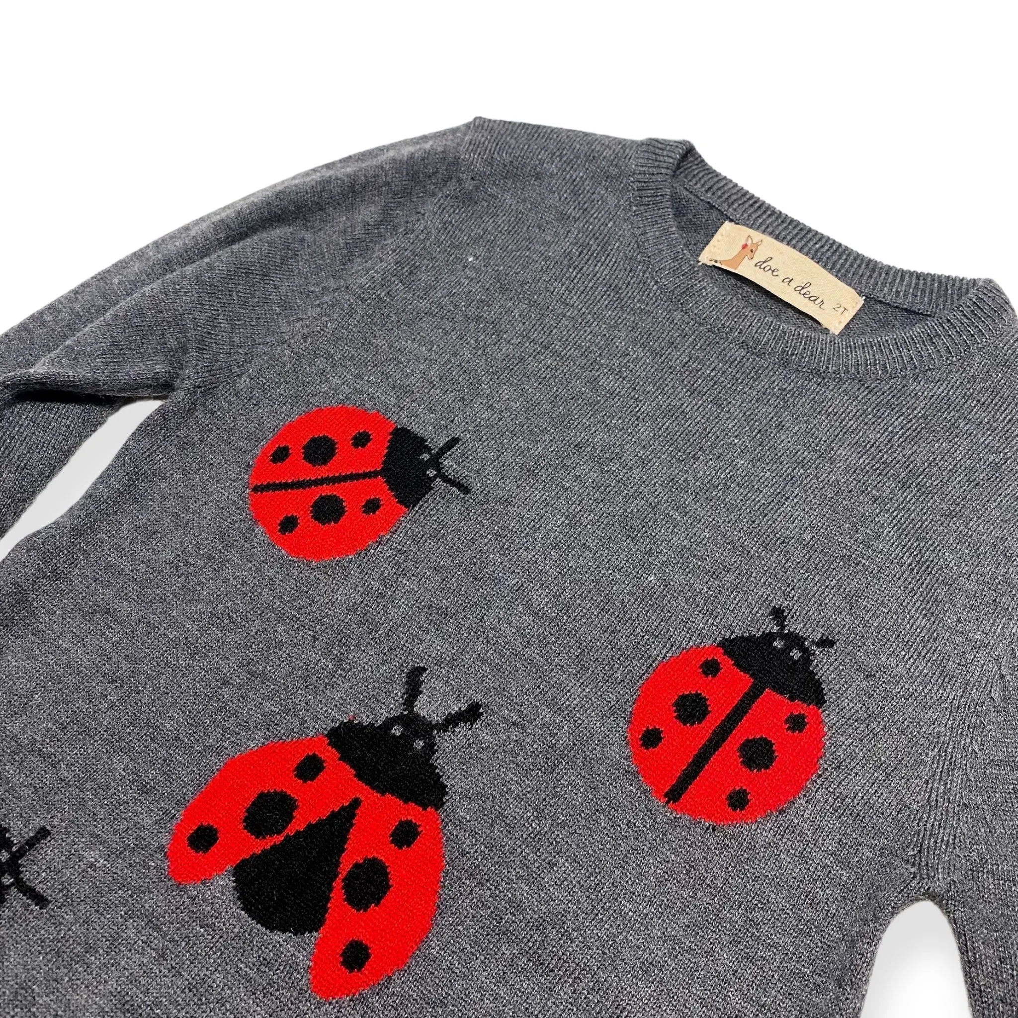 Ladybug Wooly Tunic Sweater -Grey