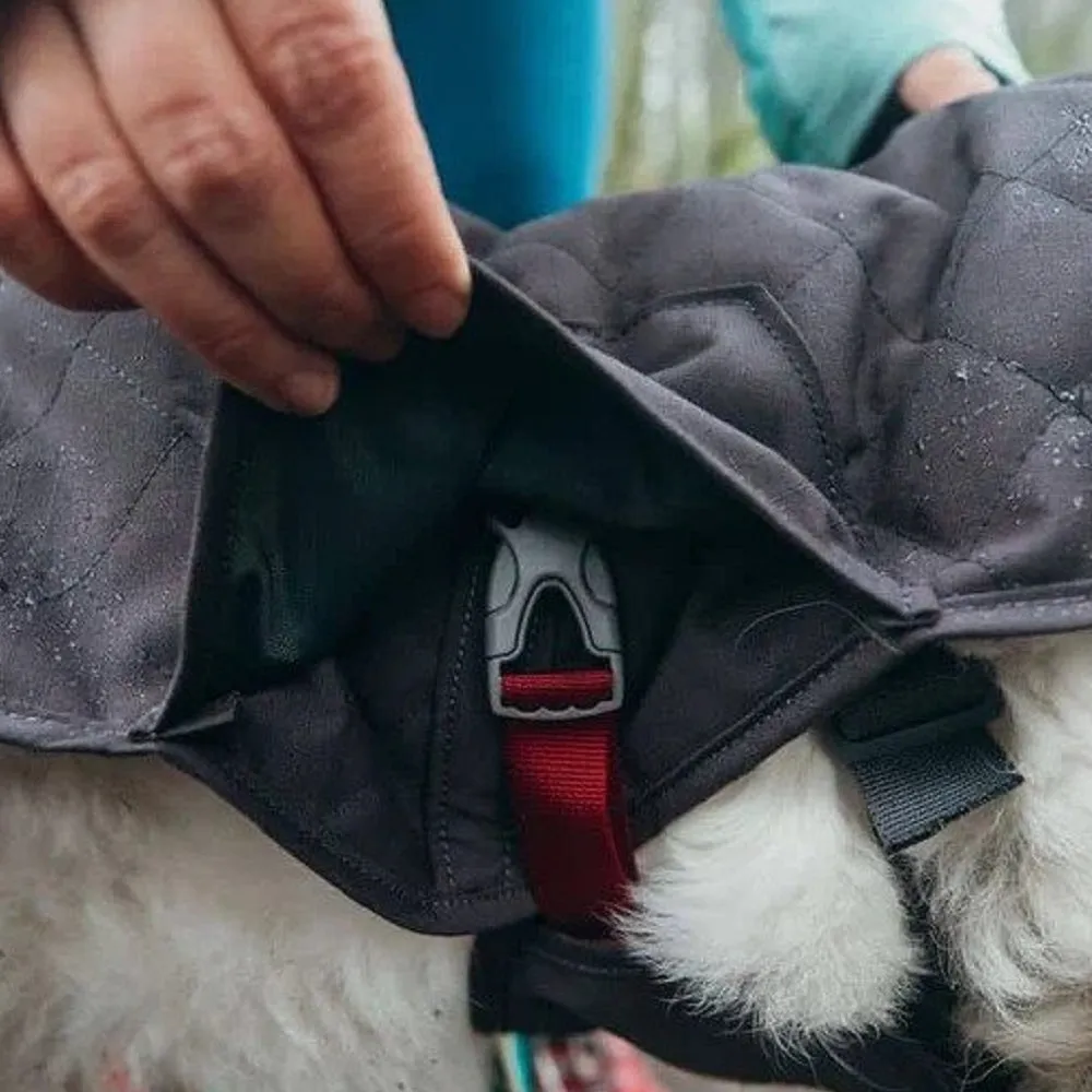 Stumptown Dog Jacket