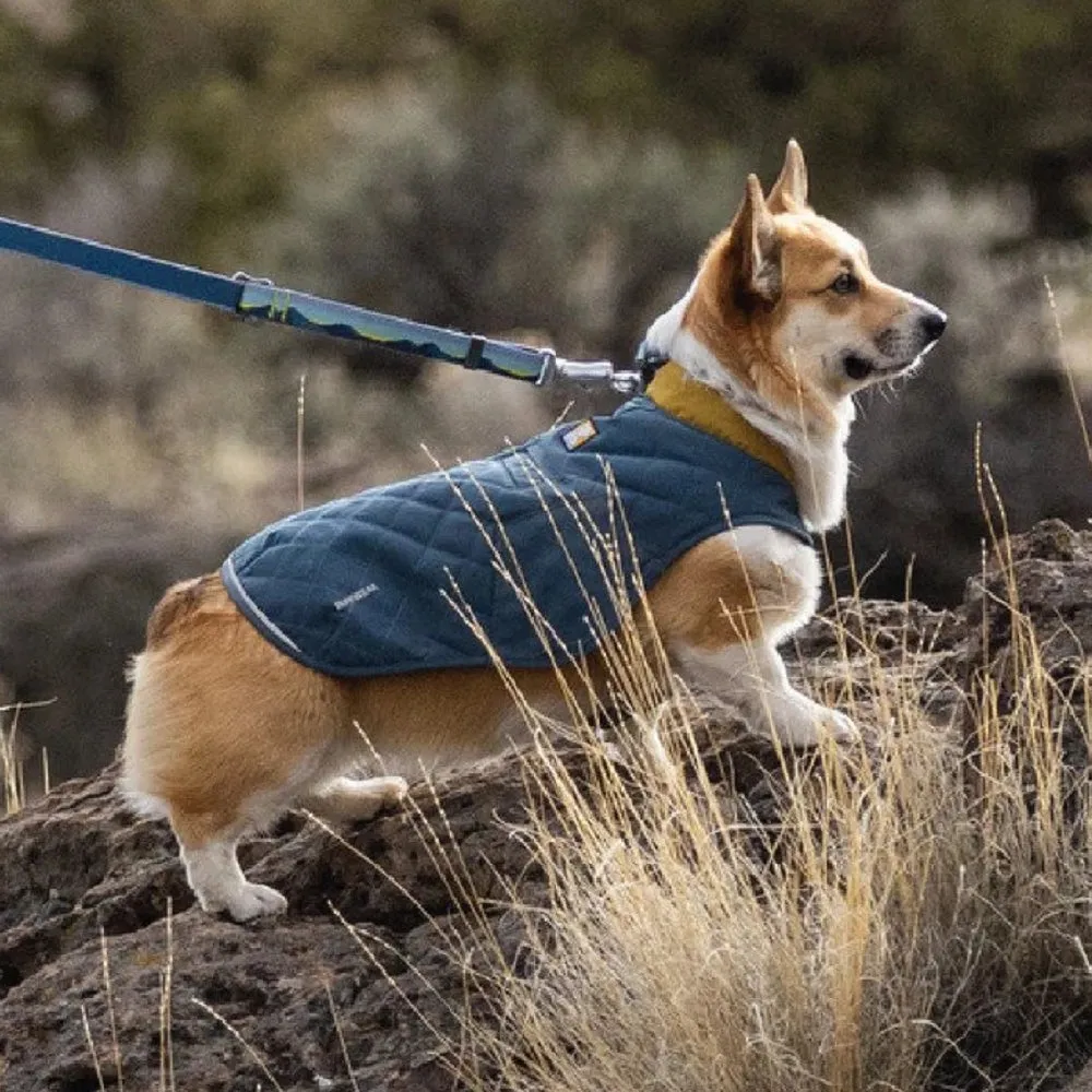 Stumptown Dog Jacket