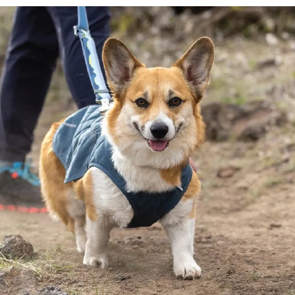 Stumptown Dog Jacket